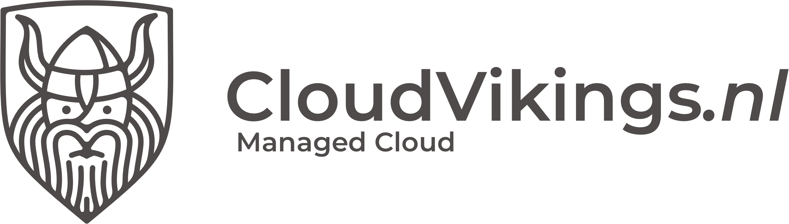 CloudVikings.nl Logo